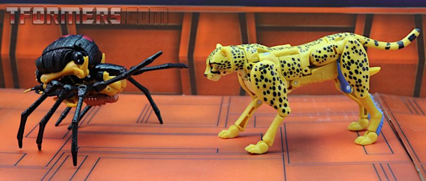 Transformers Kingdom Cheetor Wave 1 Deluxe Class  (31 of 34)